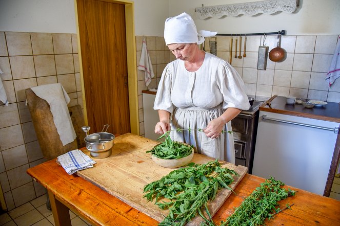 Gerstenmehl, Brennnesseln und Zichorien – Vom Essen in Kriegszeiten